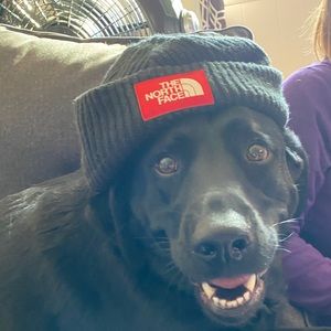 Meet your Posher, Jayson